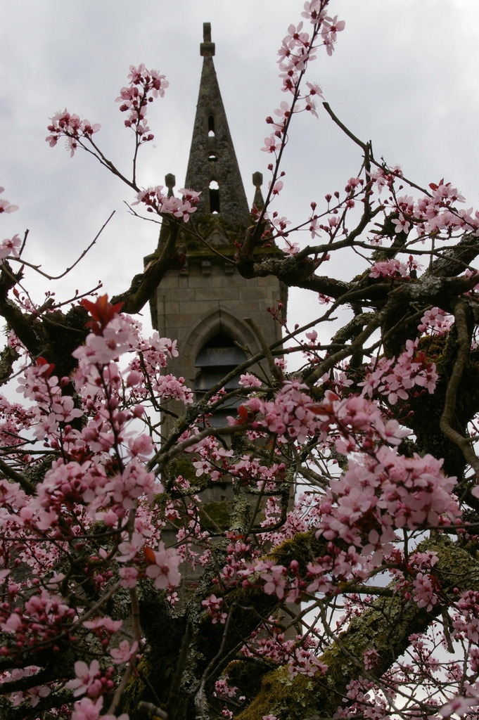 Printemps à Argentat