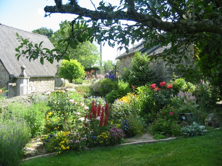 En fait, un petit village où il fait bon vivre au milieu des fleurs - Auriac