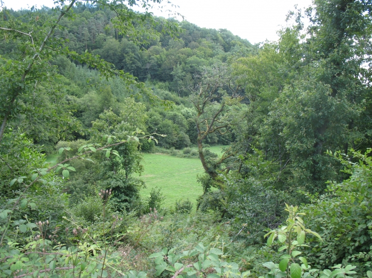 Pré en bordure du ruisseau de Blancherie en contrebas du bourg de Beaumont