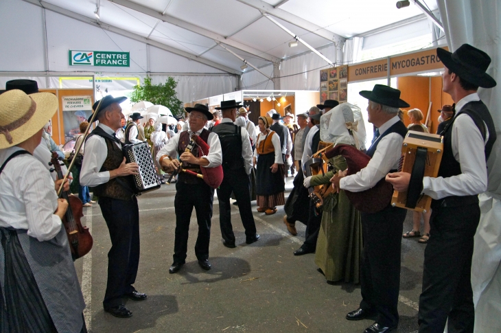 Le Festival de l'élevage 2013. - Brive-la-Gaillarde