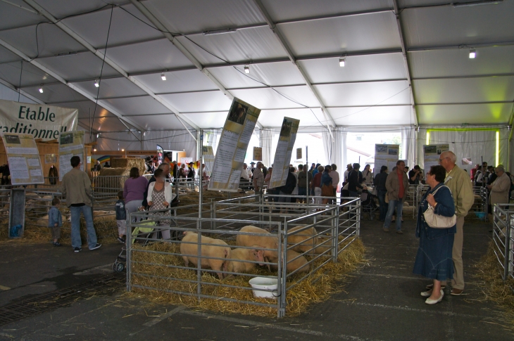 Le Festival de l'élevage 2013. - Brive-la-Gaillarde