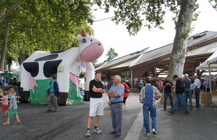 Le Festival de l'élevage 2013. - Brive-la-Gaillarde