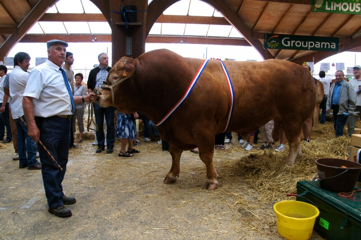 Le Festival de l'élevage 2013. - Brive-la-Gaillarde