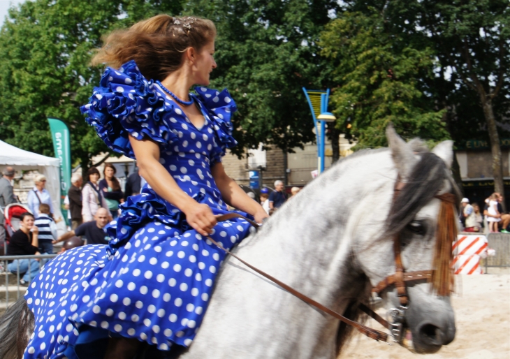 Le Festival de l'élevage 2013. - Brive-la-Gaillarde