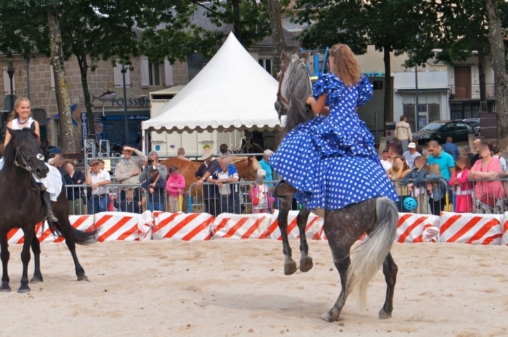 Le Festival de l'élevage 2013. - Brive-la-Gaillarde