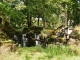 Photo précédente de Champagnac-la-Prune Cascade