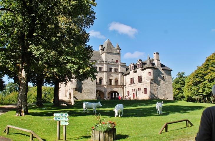 Château de Sediers - Clergoux