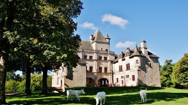 Château de Sediers - Clergoux