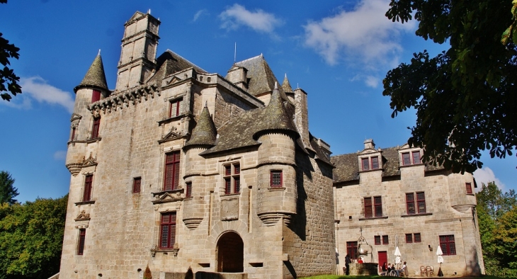 Château de Sediers - Clergoux