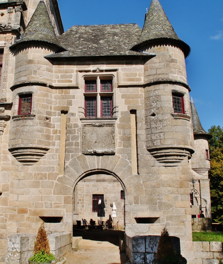 Château de Sediers - Clergoux