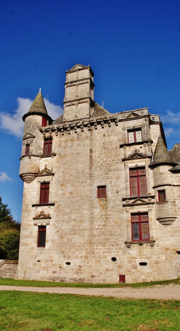 Château de Sediers - Clergoux