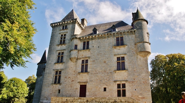 Château de Sediers - Clergoux