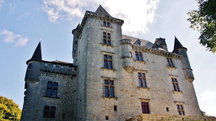 Château de Sediers - Clergoux