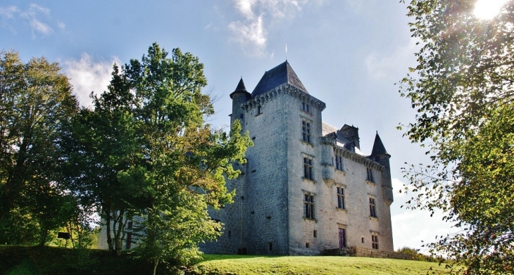 Château de Sediers - Clergoux