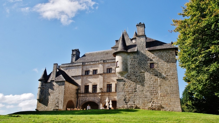 Château de Sediers - Clergoux