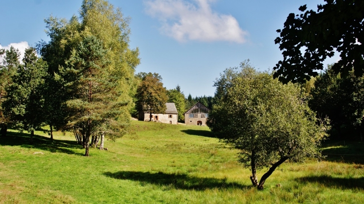 Château de Sediers ( Le Parc ) - Clergoux