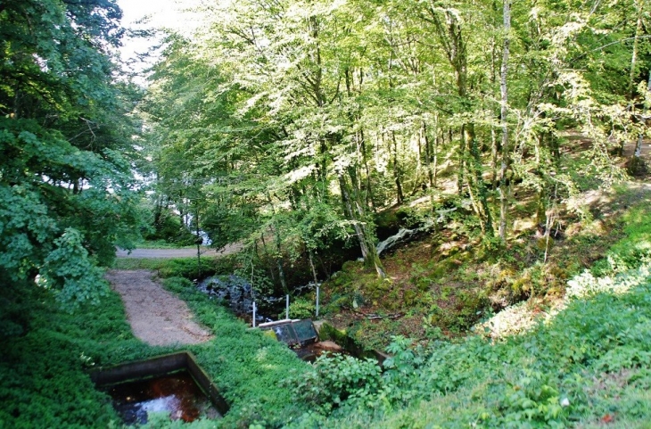 Château de Sediers ( Le Parc ) - Clergoux