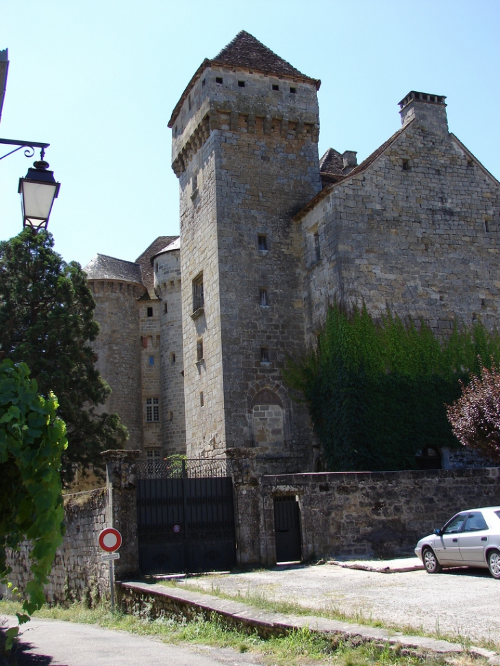 Les Châteaux de Saint-Hilaire et de Plas - Curemonte