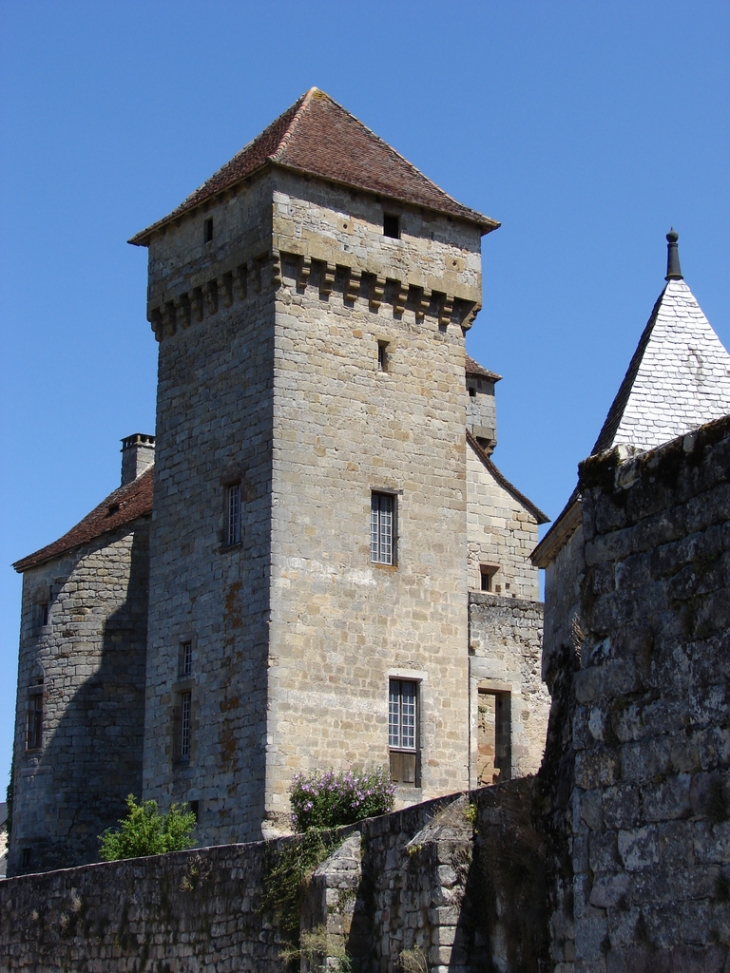 Une des tours des Châteaux de Saint-Hilaire et de Plas - Curemonte