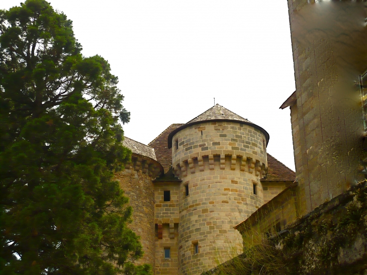 Le Château - Curemonte