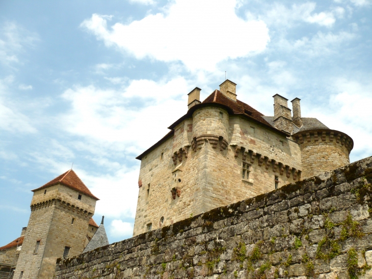 Château de Plas, de St Hilaire - Curemonte