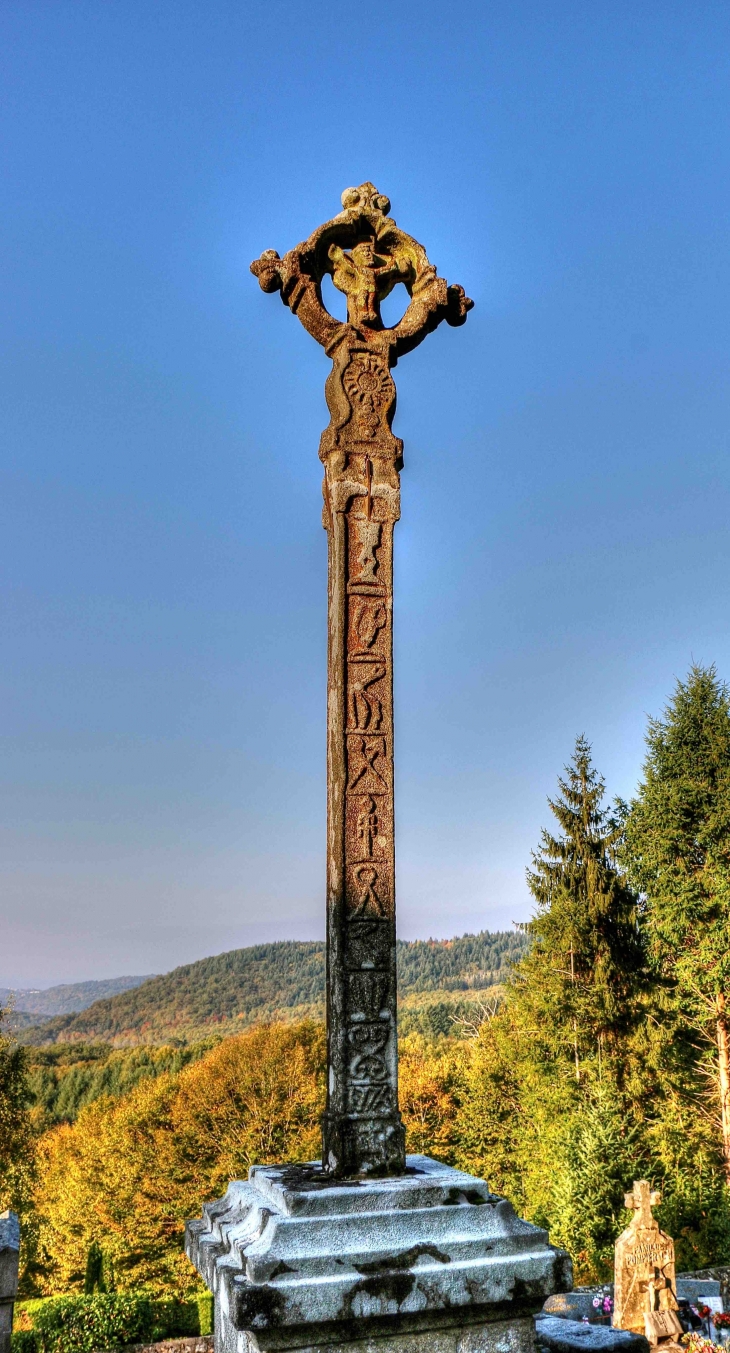 La Magnifique croix du cimetière - Gimel-les-Cascades