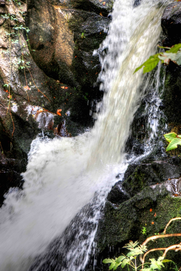 Parc Vuillier - Gimel-les-Cascades