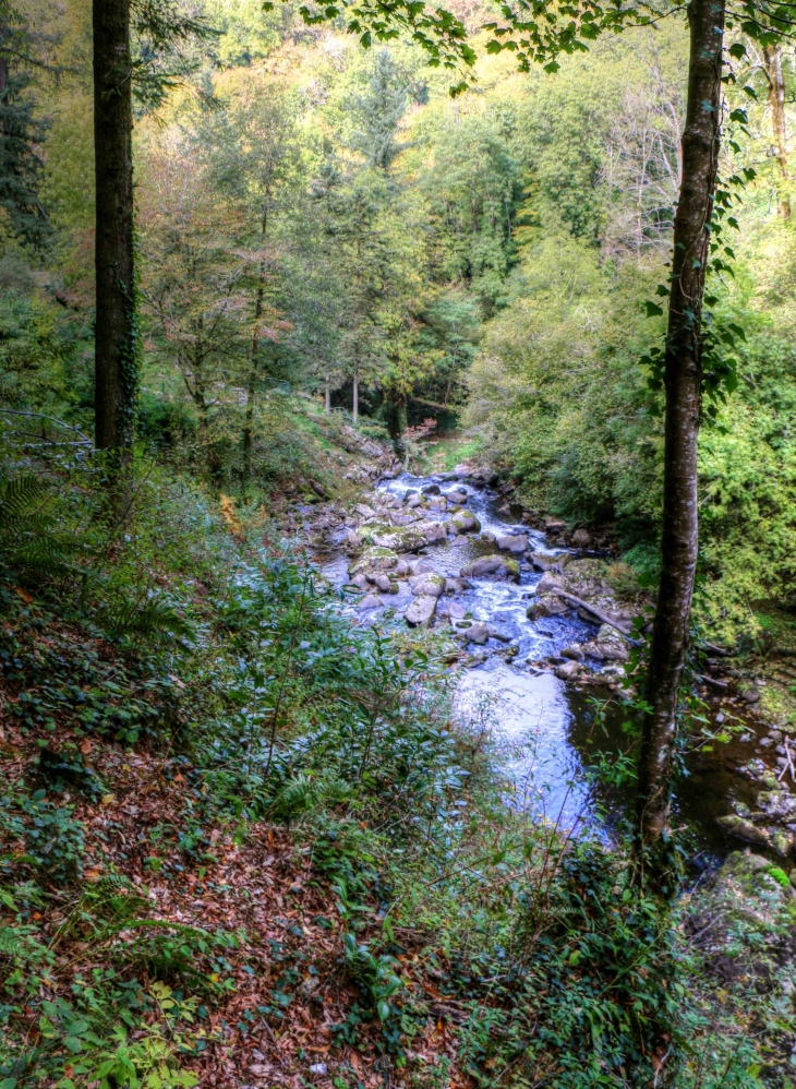 Parc Vuillier - Gimel-les-Cascades