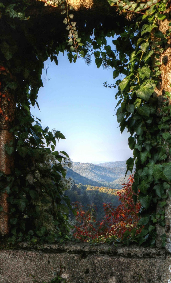 Le château - Gimel-les-Cascades