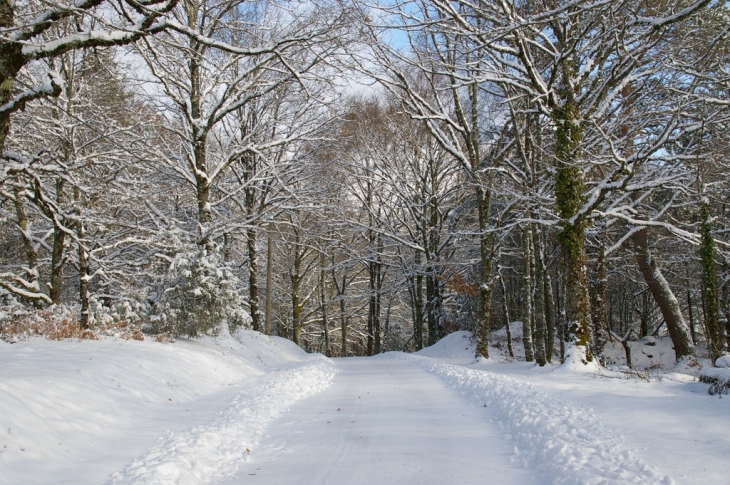 Promenade dans l neige près de Goulles