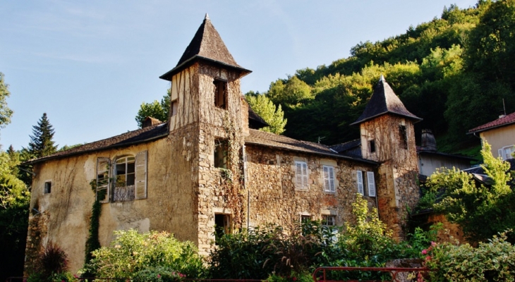 Château de la Salvanie - Laguenne