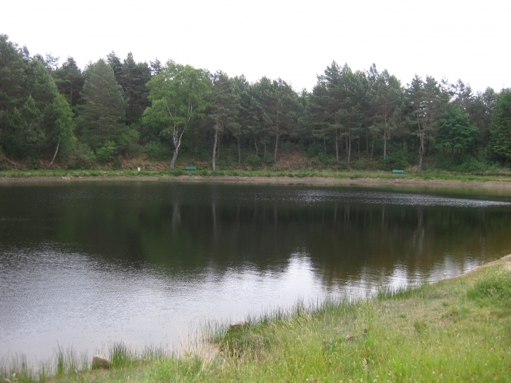 PETIT COIN DE PECHE A MARCILLAC - Marcillac-la-Croisille