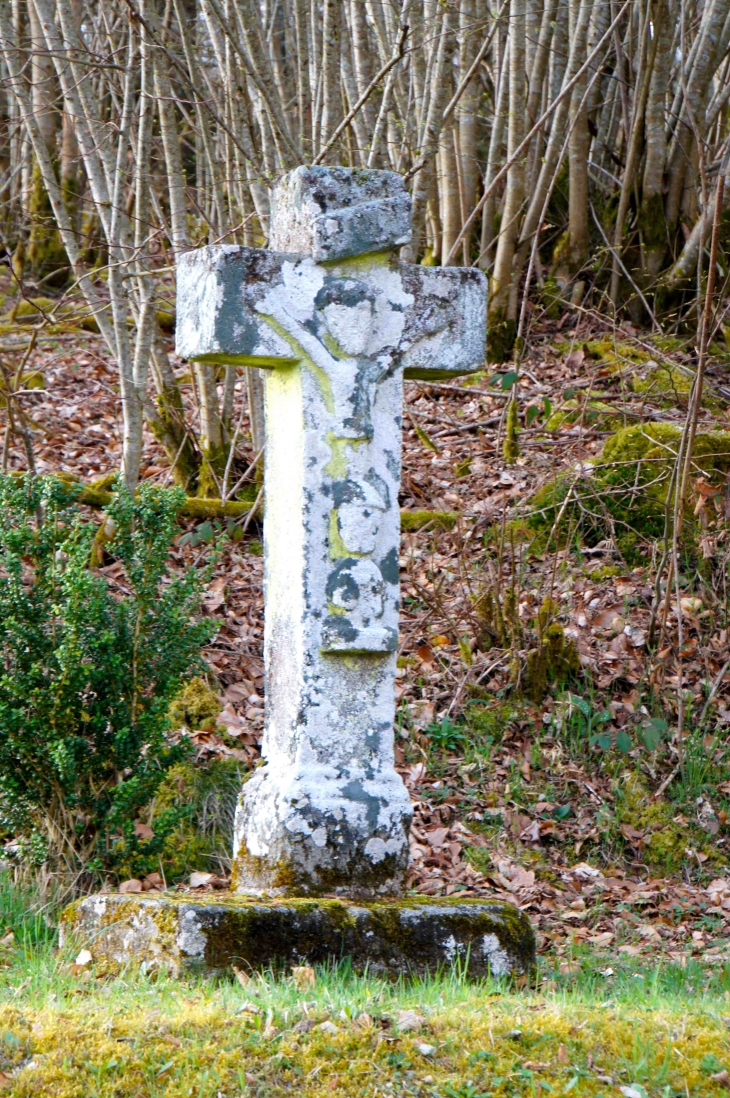 Aux alentours, croix de chemin. - Mestes