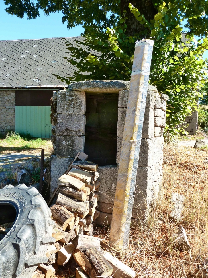 S.V.P. Petit patrimoine en danger à sauvegarder. Ancien puits près de l'église. - Meyrignac-l'Église