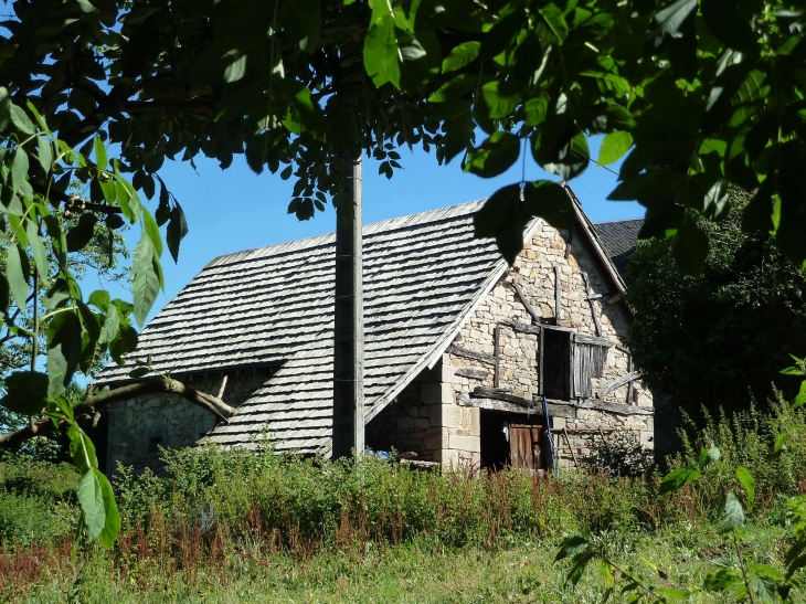 Ancienne grange recouverte de Tuiles en bois. - Meyrignac-l'Église