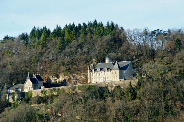 Le château au dessus du village. - Perpezac-le-Blanc