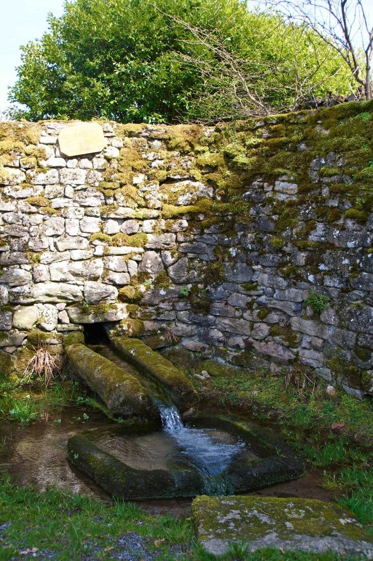 Détail : la-vieille-fontaine-a-cezeirat - Peyrelevade