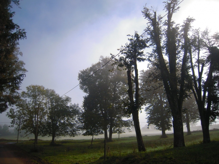 La fôret de Rilhac sous la brume - Rilhac-Xaintrie