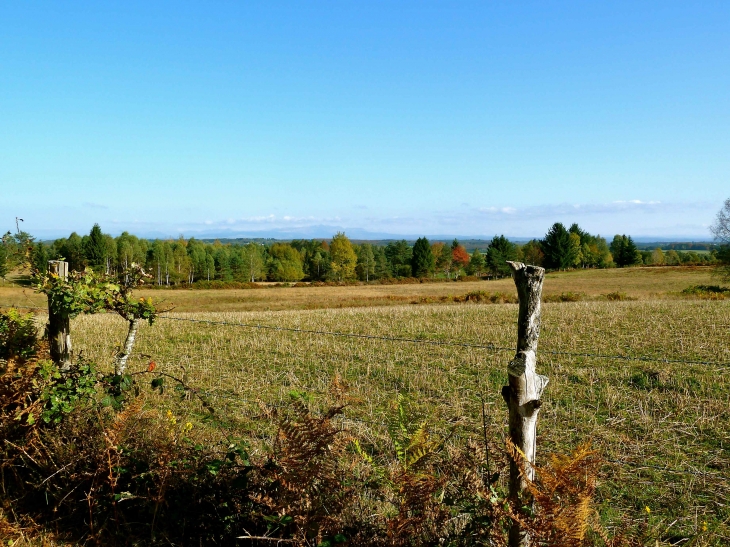 Aux alentours - Saint-Fréjoux