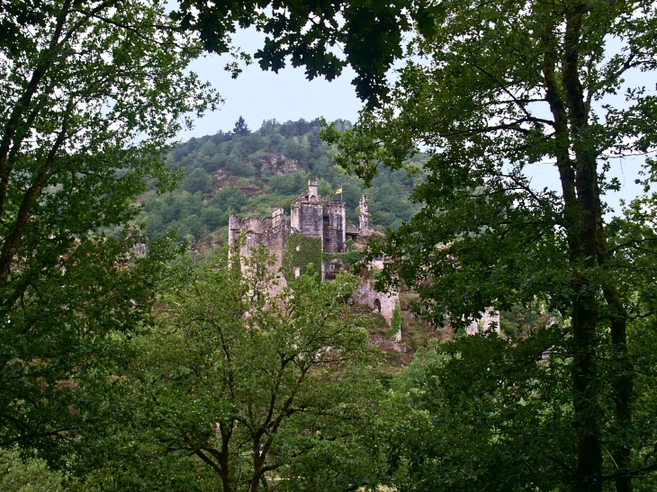Ruines du château de Merle du XIIe et XVe siècles. - Saint-Geniez-ô-Merle