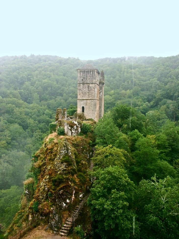 Ruines du château de Merle du XIIe et XVe siècles. - Saint-Geniez-ô-Merle