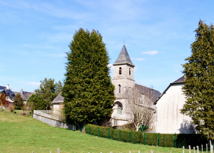 Vue sur le village et l'église Saint-Médard. - Saint-Merd-les-Oussines