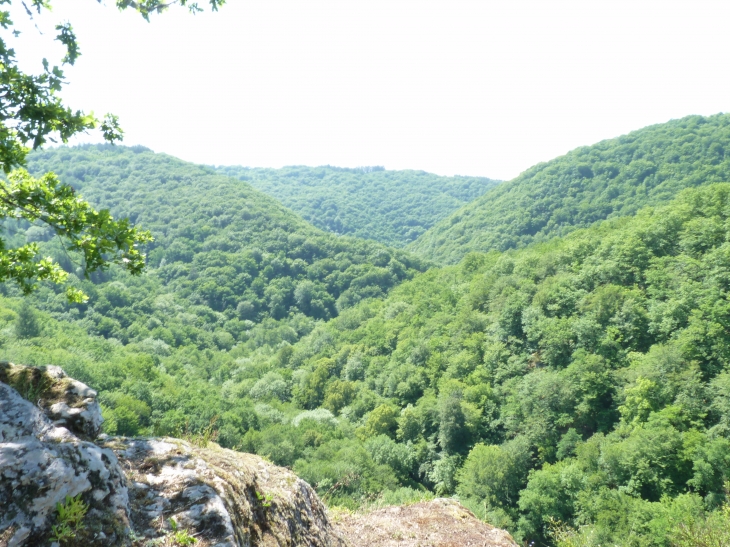 Vue-sur-les-collines boisées - Saint-Pantaléon-de-Lapleau