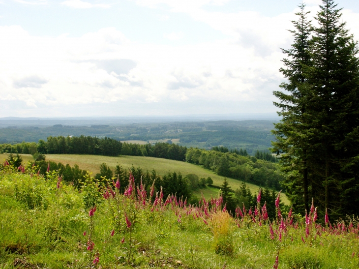 Aux alentours - Sarran