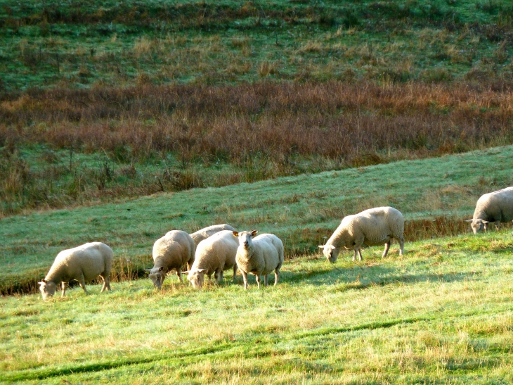 Aux alentours - Ussel