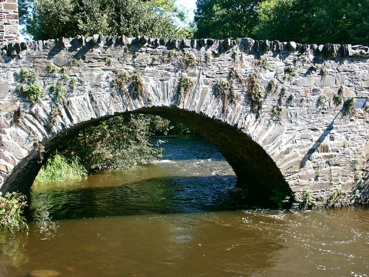 Détail : arche du pont à becs du XIIIe siècle. - Voutezac