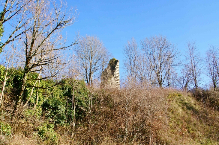 Ruines de la Tour féodale. - Yssandon