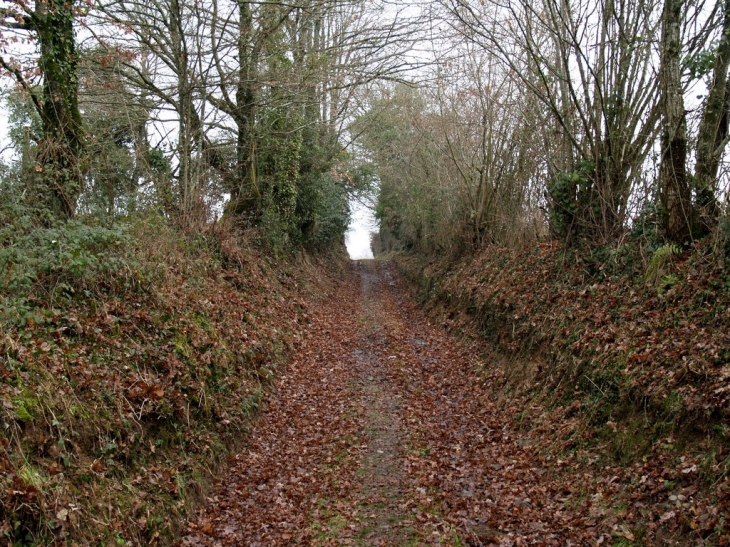 Sentier Creusois - Augères