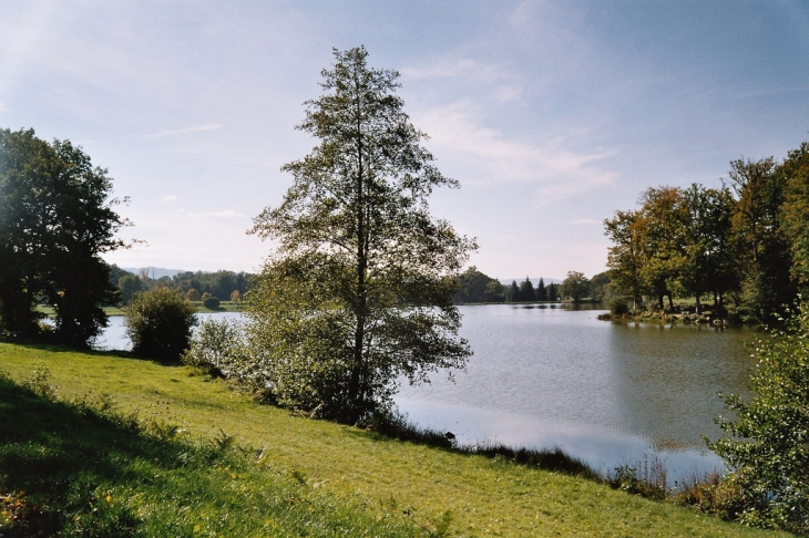 ETANG DE LA TOUEILLE VUE DU BOURALE - Bénévent-l'Abbaye