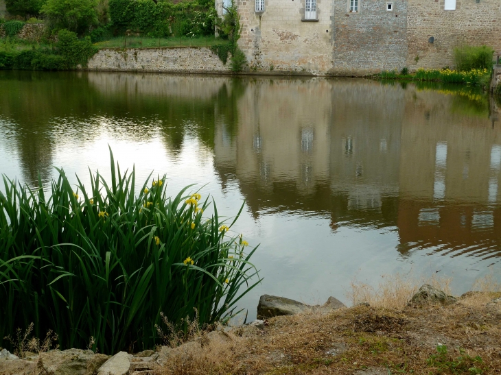 Etang du Vieux Château - Châtelus-Malvaleix